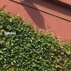 L.N.D.(Love n Drugs)