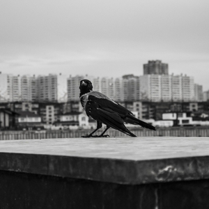 Gerðu Þig Tilbúna