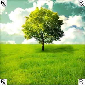 Green Fields (feat. Sayso & Kashus Klay)