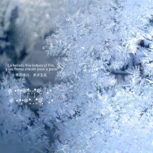 有你的梦 是我唯一的幸福