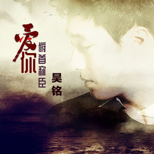 爱你俯首称臣