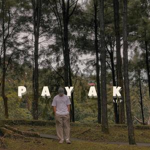 PAYAK