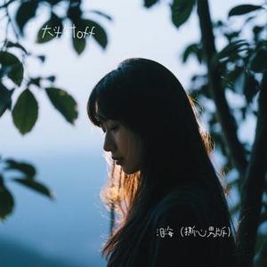 泪海 (释怀男版)