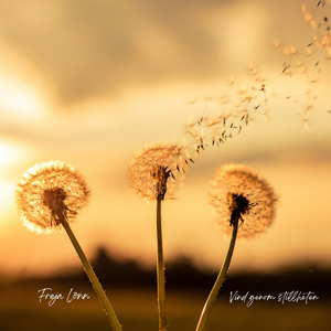 Vind Genom Stillheten