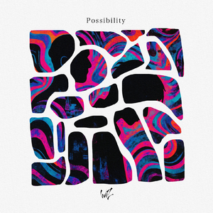 Possibility