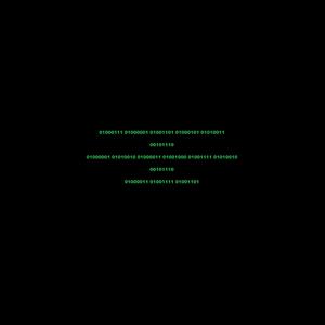 00101110