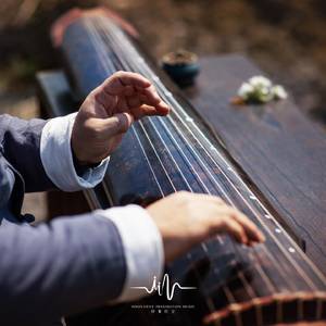 宁静时光屋 (深度睡眠古琴曲)