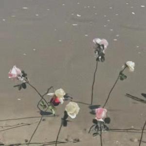 我想这一切都关于你