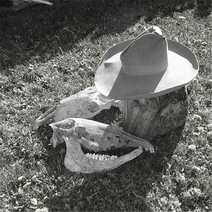 The Cold Wyoming Wind