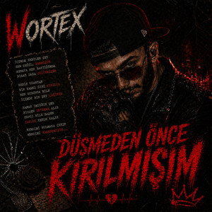 DÜŞMEDEN ÖNCE KIRILMIŞIM