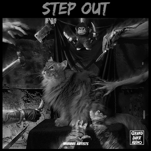 Down Through The Dark (Mystery Forest Remix)