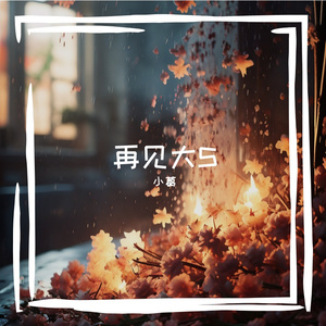 再见大S 伴奏