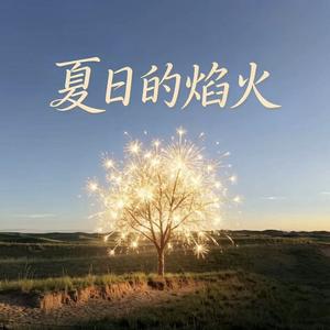 夏日的焰火