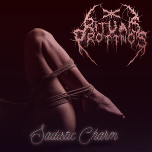 Sadistic Charm