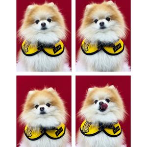 샤넬송 : 첫째 딸을 위한 노래