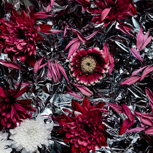 Whereto (feat. Lance Queen)