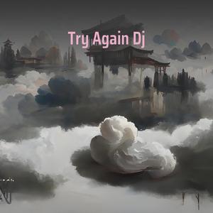 Try Again (Dj)