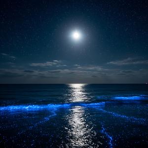 꿈결에 번지는 파도 (Waves Across the Dreamscape)