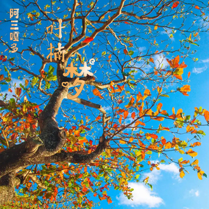 叶楠梦