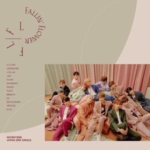 Fallin‘ Flower半中英文翻唱（翻自 SEVENTEEN）