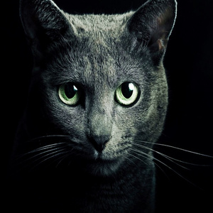 月光如梦 (慢摇版)