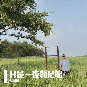 只是一夜就足够