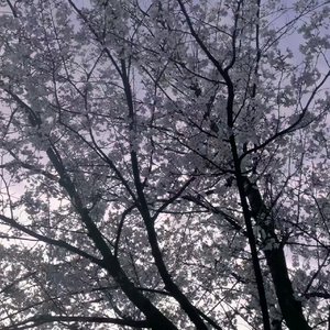 微恋序（prod.JUN3）