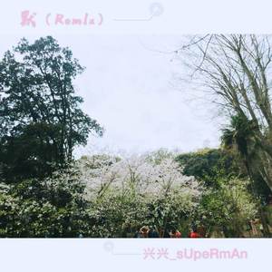 默（Rem1x）（翻自 小右）