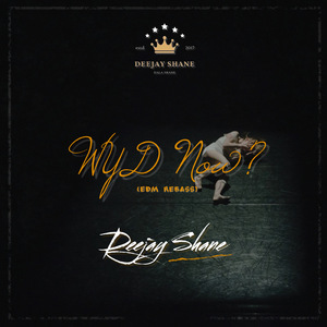 Wyd Now ? (EDM REBASS)