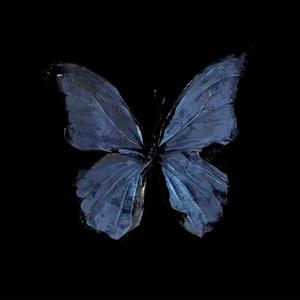 光泽-空心 (DJ转场卡点版)