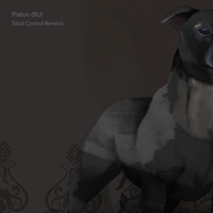 Total Control (Niren-G Remix)