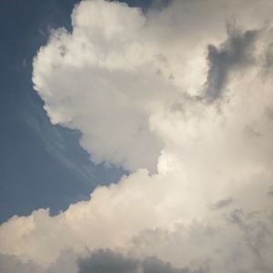 只爱陌生人（cover 张亚东）