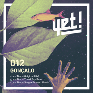 Luv Story (Timid Boy Remix)