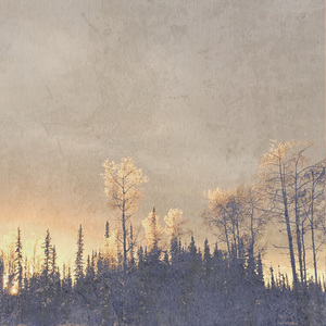 The Laughter in Your Face