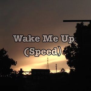 Avicii-Wake Me Up(Speed Remix)