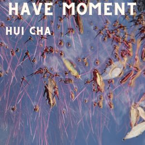 Have Moment