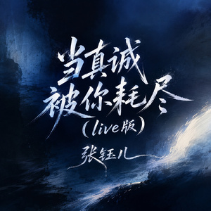 当真诚被你耗尽(live版)