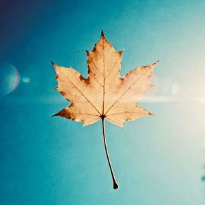 冷秋季（Prod By Lisure)