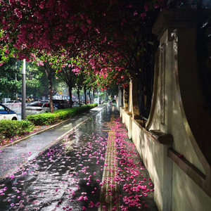 等雨停