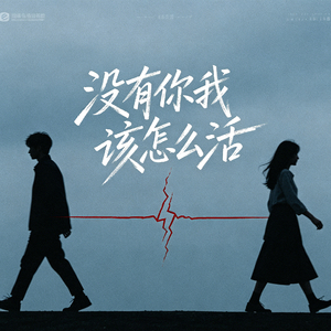 没有你我该怎么活 (爱你不能拥有你)