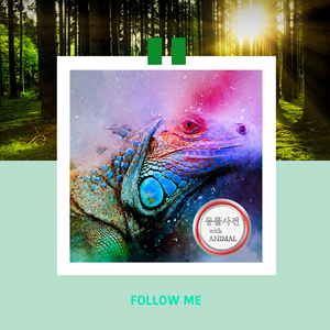 배고픔을 잊은 팻에게