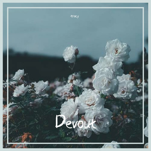 微风里的白玫瑰