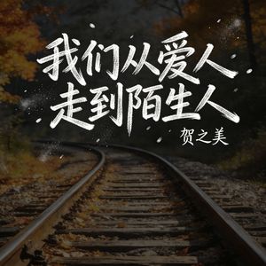 我们从爱人走到陌生人