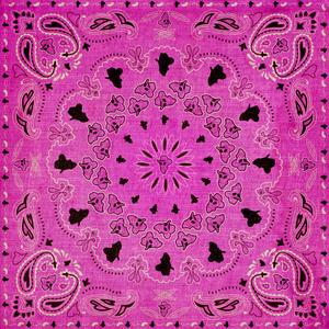 Still Fried (BASED ANTHEM)