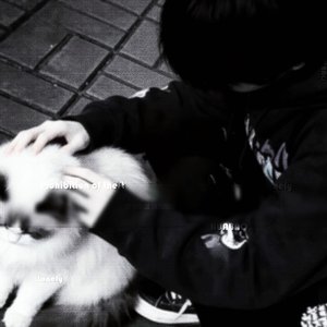不感兴趣