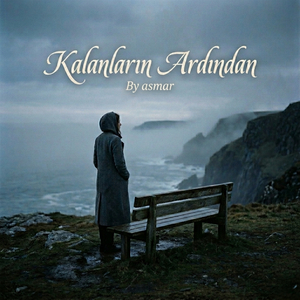 Kalanların ardından (Anatolian rock)