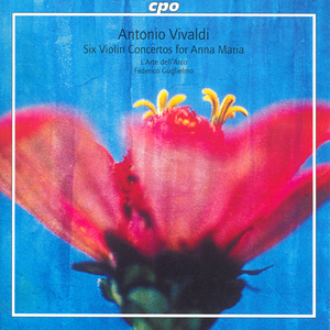 Violin Concerto in D Minor, RV 248:II. Largo - Presto - Adagio - [Presto] - Largo