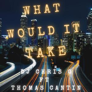What Would It Take (feat. Thomas Cantin)