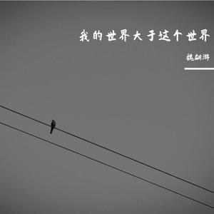 美丽的神话-指弹吉他