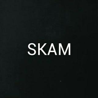 SKAM第四季歌单 持更[请看描述]